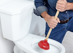 toilet repair